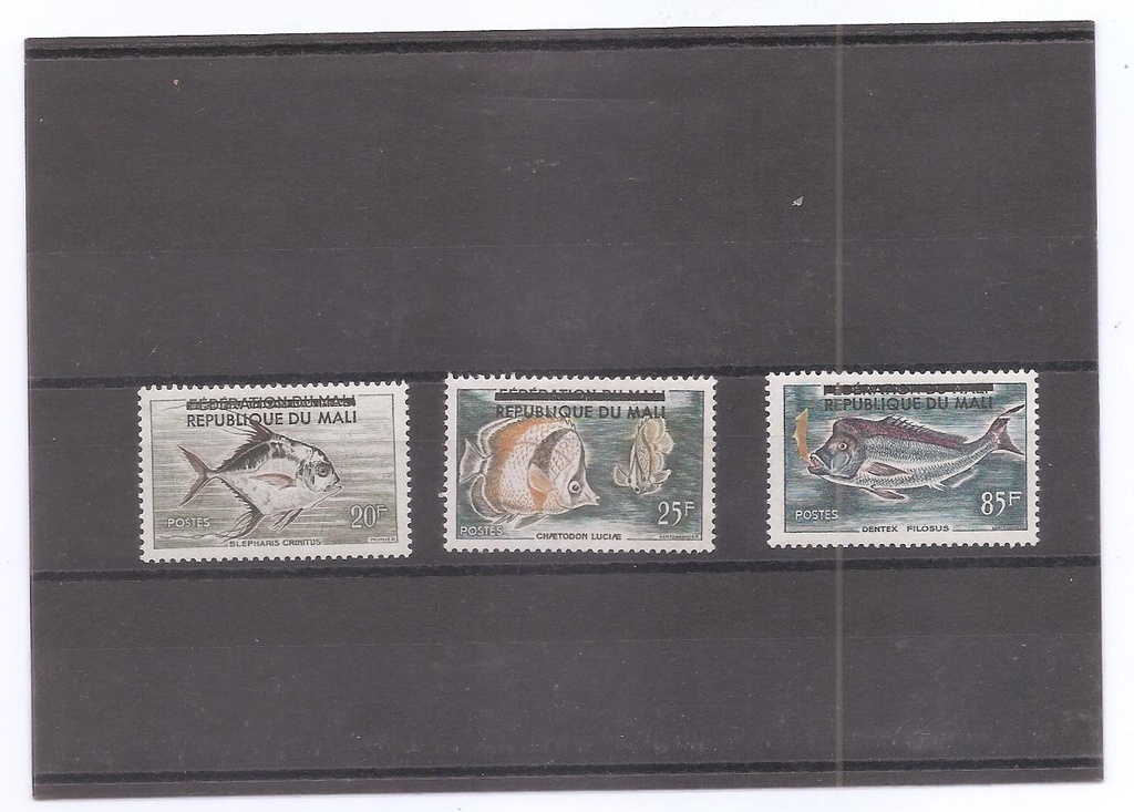 MALI DEL AÑO 1961 FAUNA MARINA
