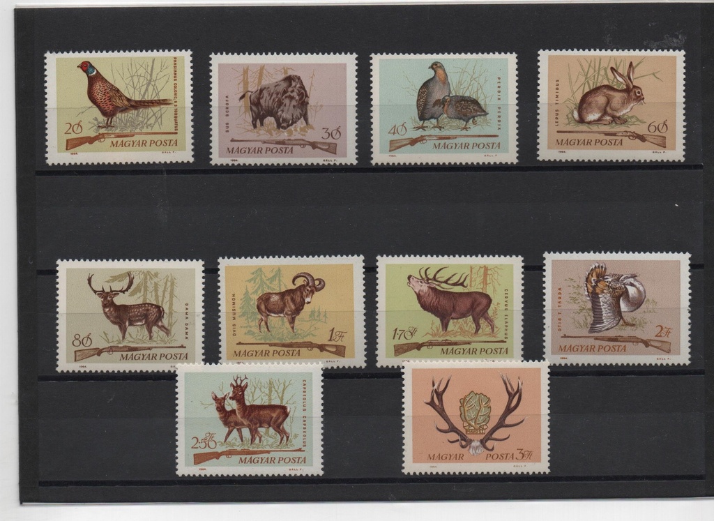 HUNGRIA DEL AÑO 1964 FAUNA VARIADA