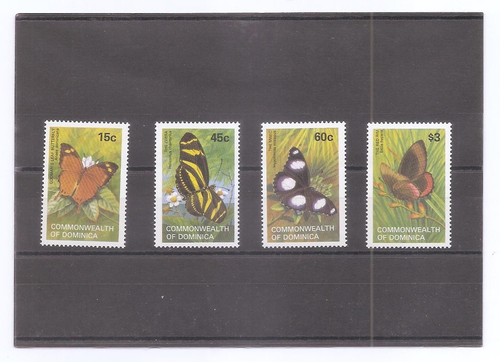 DOMINICA DEL AÑO 1982 MARIPOSAS