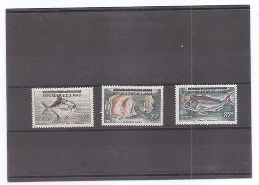MALI DEL AÑO 1961 FAUNA MARINA