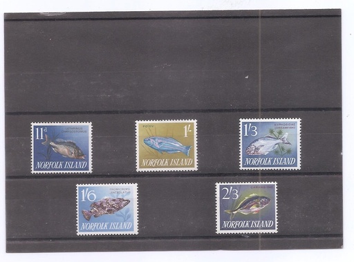 ISLAS NORFOLK DEL AÑO 1960 FAUNA MARINA